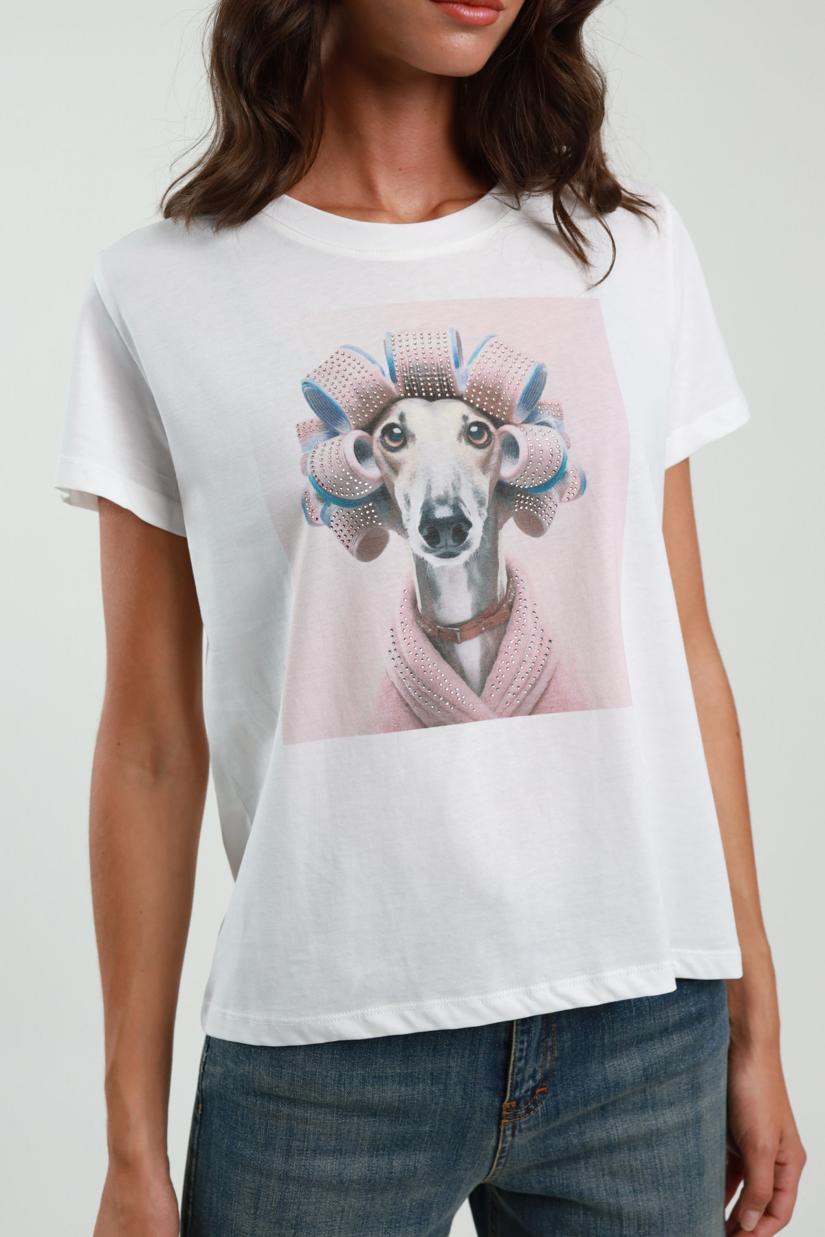 Dog T-Shirt with Curlers